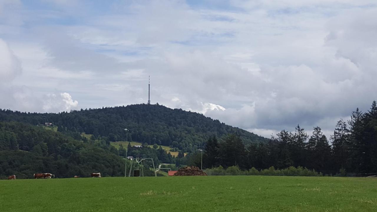 Ferienbungalow Sonnenwald Bayerischer Wald Villa Schöfweg Екстериор снимка