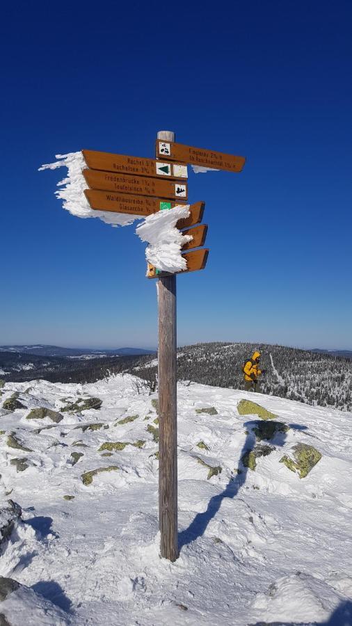 Ferienbungalow Sonnenwald Bayerischer Wald Villa Schöfweg Екстериор снимка