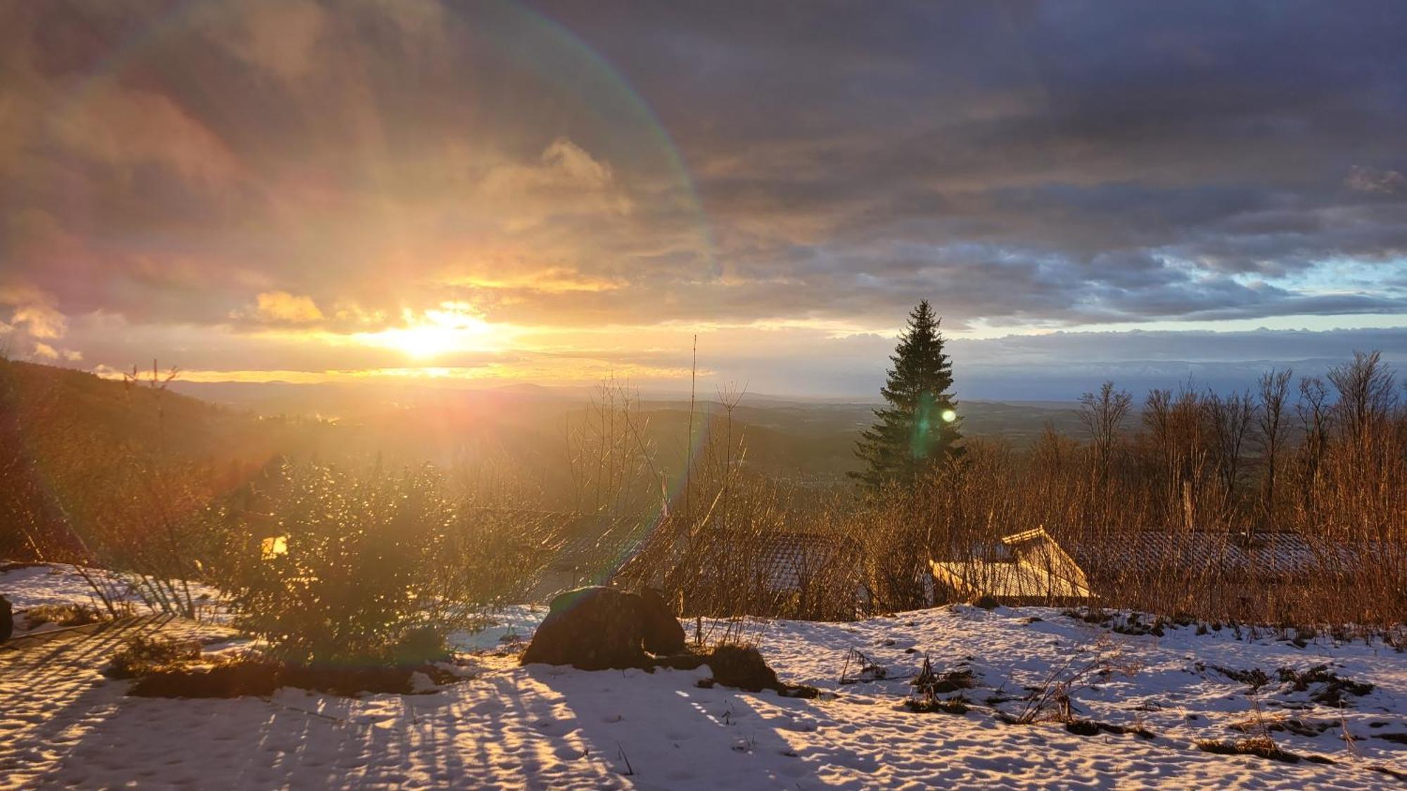 Ferienbungalow Sonnenwald Bayerischer Wald Villa Schöfweg Екстериор снимка