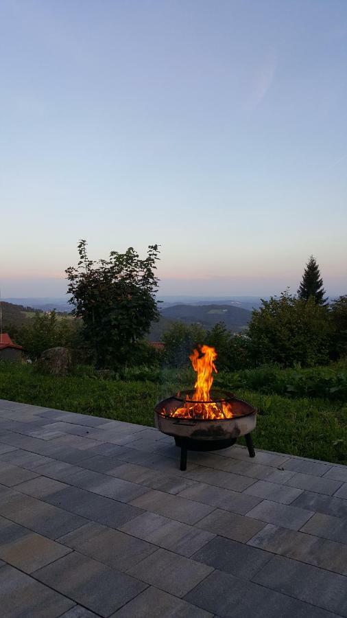 Ferienbungalow Sonnenwald Bayerischer Wald Villa Schöfweg Екстериор снимка